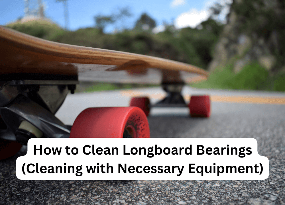 How to Clean Longboard Bearings (Cleaning with Necessary Equipment)